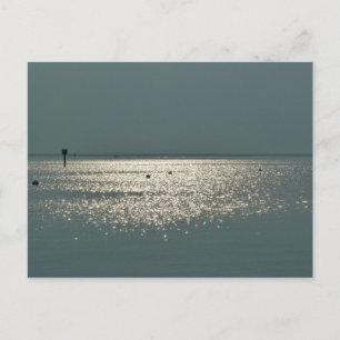 Views of the Chesapeake Bay Postcard