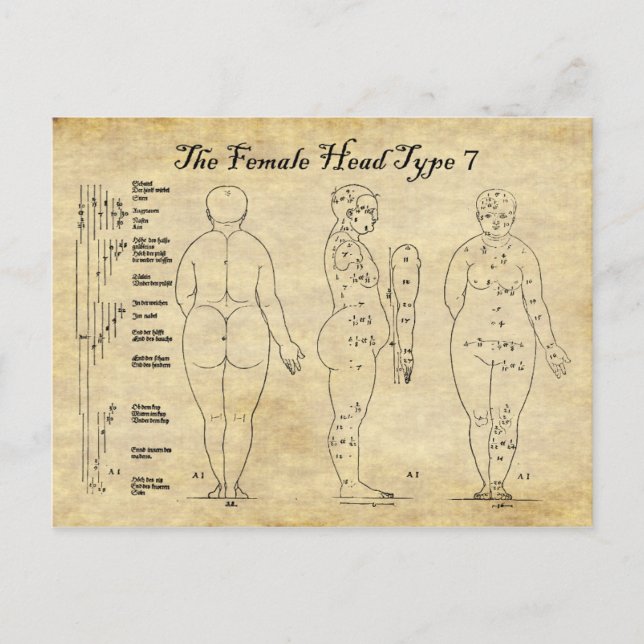 Views of The Female Head Type 7 Postcard (Front)