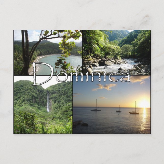 Views of the Nature Isle Post Card (Front)