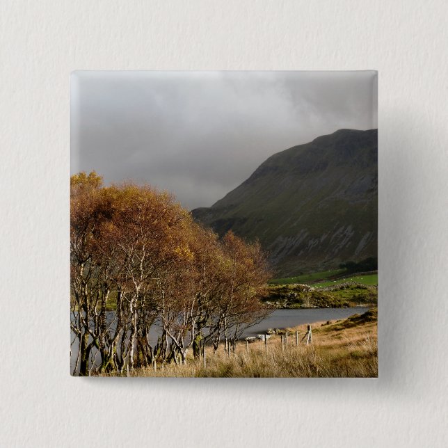 VIEWS OF WALES 15 CM SQUARE BADGE (Front)