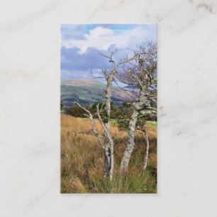 VIEWS OF WALES BUSINESS CARD