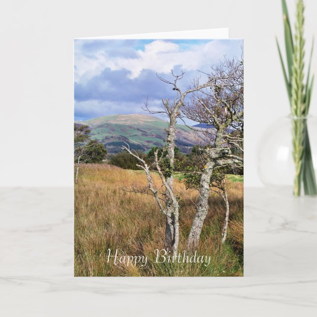 VIEWS OF WALES CARD (Front)