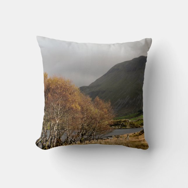 VIEWS OF WALES CUSHION (Front)