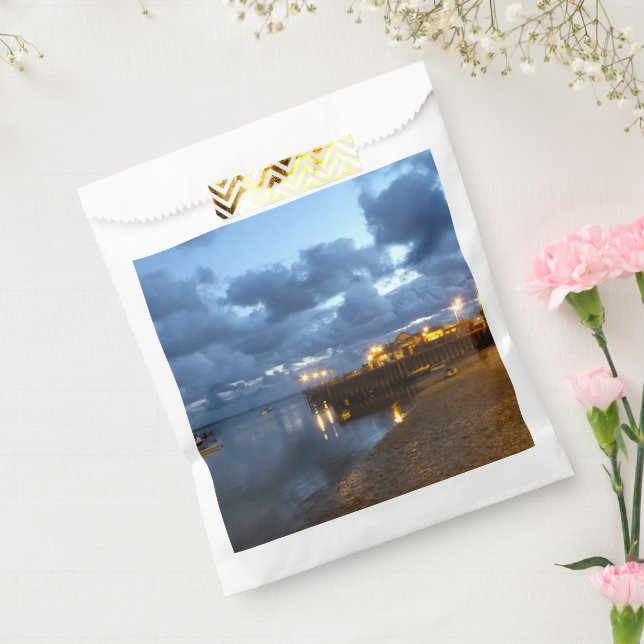 VIEWS OF WALES  FAVOUR BAGS (Sealed)