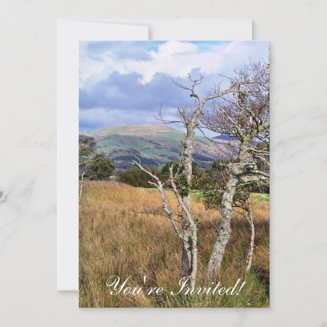 VIEWS OF WALES INVITATION (Front)