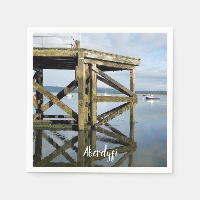 VIEWS OF WALES NAPKIN (Front)