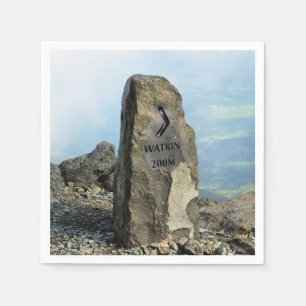 VIEWS OF WALES NAPKIN