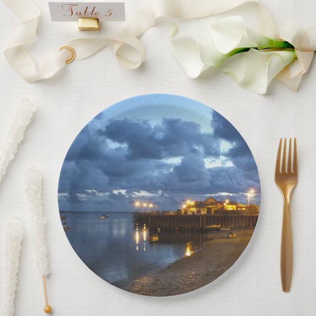 VIEWS OF WALES   PAPER PLATE (Wedding)