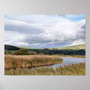 VIEWS OF WALES POSTER