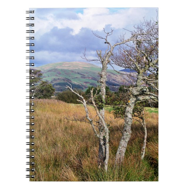 VIEWS OF WALES SPIRAL NOTEBOOK (Front)