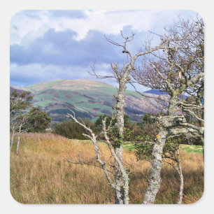 VIEWS OF WALES SQUARE STICKER