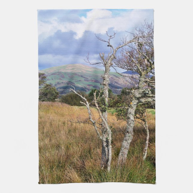 VIEWS OF WALES TEA TOWEL (Vertical)