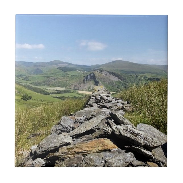 VIEWS OF WALES TILE (Front)
