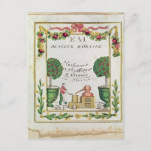 Vignette of 'Eau de Fleur d'Orange' Postcard
