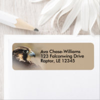 Vignetted Peregrine Falcon Bird of Prey