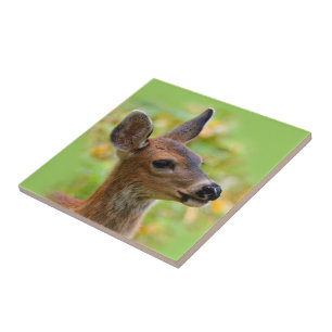Vignetted Portrait of Smiling Blacktail Deer Fawn Tile