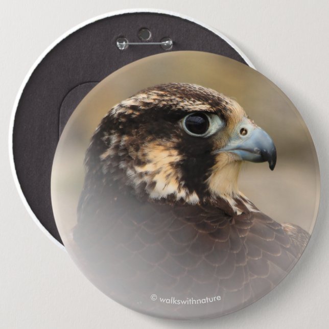 Vignetted Profile of a Peregrine Falcon 6 Cm Round Badge (Front & Back)
