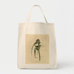 Vigors Vireo (Pine Warbler) Audubon Birds America Tote Bag