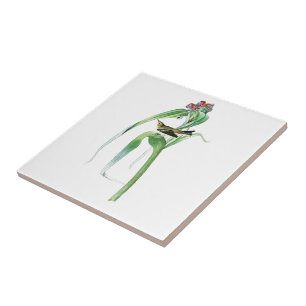 Vigour's Warbler John James Audubon Birds America Tile