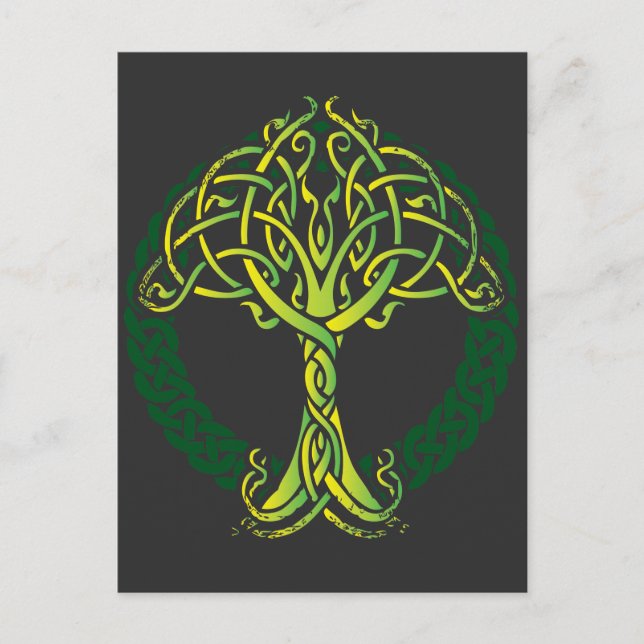 Viking Celtic Knotwork Tree of Life Postcard (Front)