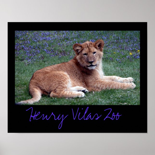 Vilas Zoo Cub Poster (Front)