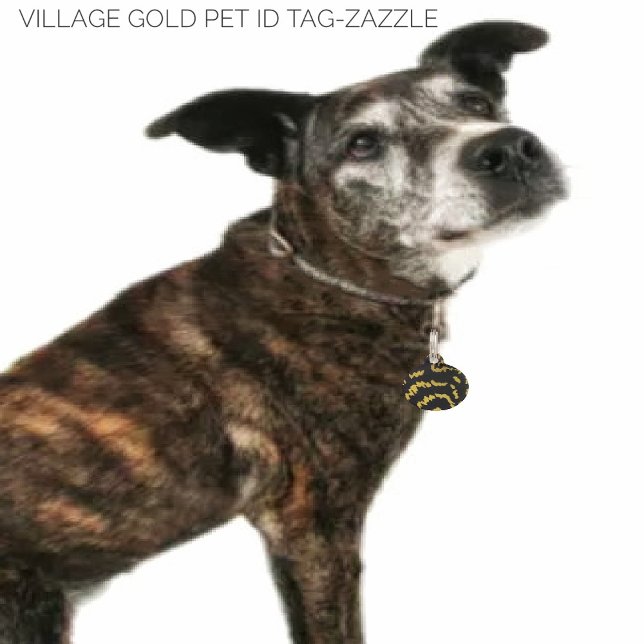 Village Gold  Pet Tag (Creator Uploaded)