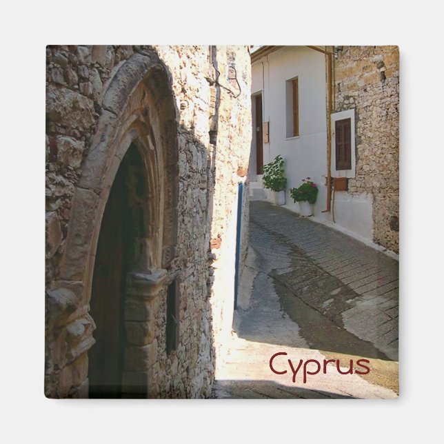 Village in Cyprus Magnet (Front)