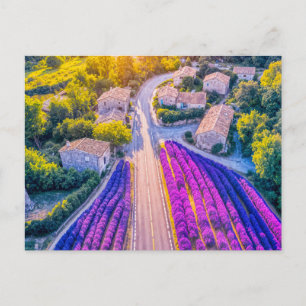 Village with Lavender Fields and Winding Roads Holiday Postcard