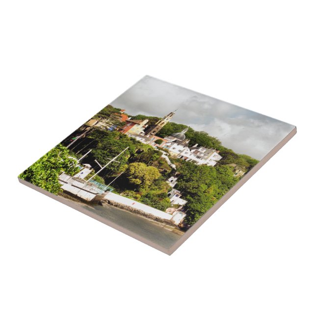 VILLAGES OF WALES TILE (Side)