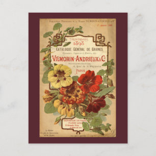 Vilmorin-Andrieux & Co. Seed Catalogue Ad Postcard