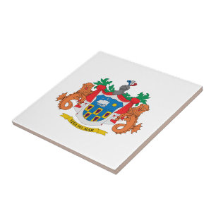 Viña del Mar coat of arms, Chile Tile