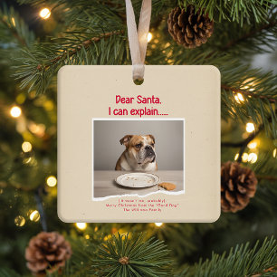 Vinage Funny Dog Pet Photo Christmas Holiday Ceramic Ornament
