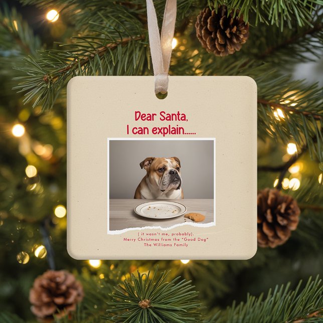 Vinage Funny Dog Pet Photo Christmas Holiday Ceramic Ornament (Creator Uploaded)