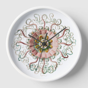 Vinatge jellyfish drawing Wall Clock