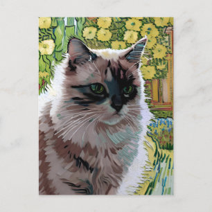Vincent Cat Gogh Postcard