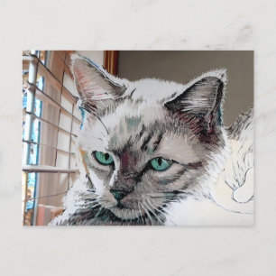Vincent Cat Gogh Postcard