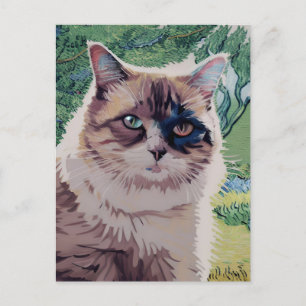 Vincent Cat Gogh Postcard