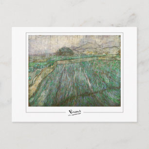 Vincent Van Gogh #10 - Fine Art Postcard