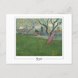 Vincent Van Gogh #24 - Fine Art Postcard