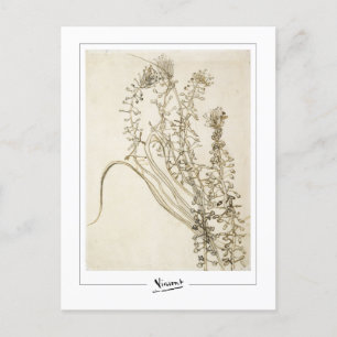 Vincent Van Gogh #356-3 - Fine Art Postcard