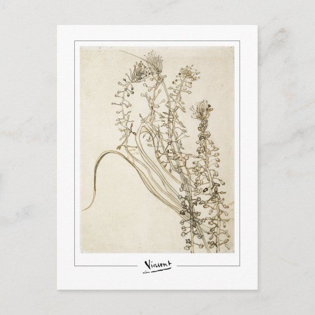 Vincent Van Gogh #356-3 - Fine Art Postcard (Front)