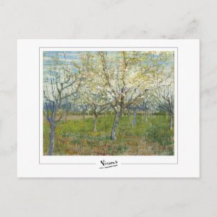 Vincent Van Gogh #44-2 - Fine Art Postcard