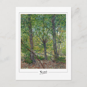 Vincent Van Gogh #51-2 - Fine Art Postcard