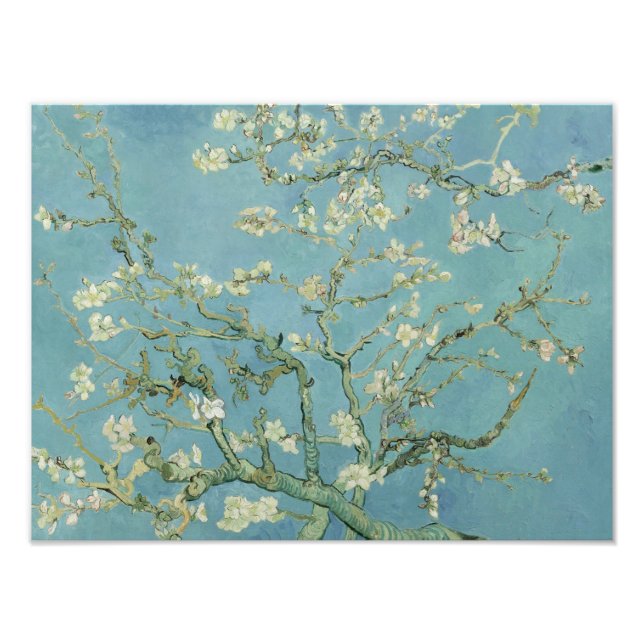 Vincent van Gogh - Almond Blossom Photo Print (Front)