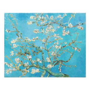 Vincent van Gogh - Almond Blossom Photo Print