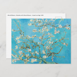 Vincent van Gogh - Almond Blossom Postcard