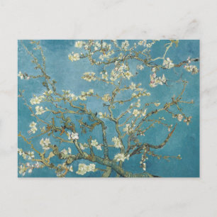 Vincent van Gogh Almond blossom Postcard