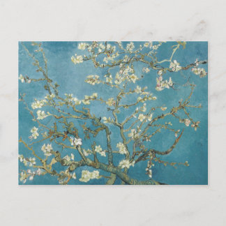 Vincent van Gogh Almond blossom Postcard