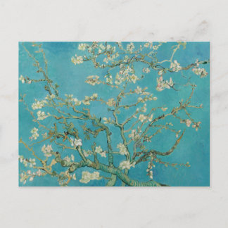 Vincent van Gogh Almond Blossoms Postcard