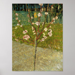 Vincent van Gogh - Almond tree in blossom Poster